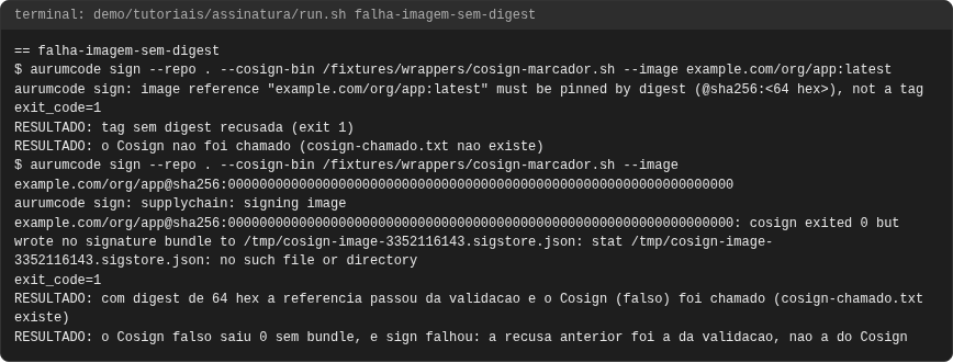 Terminal do caso falha-imagem-sem-digest