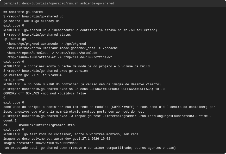 Terminal do caso ambiente-go-shared