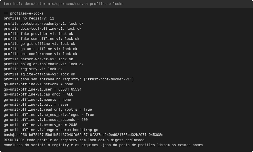 Terminal do caso profiles-e-locks