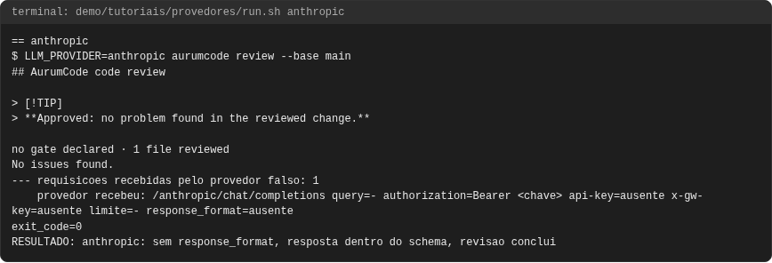 Terminal do caso anthropic