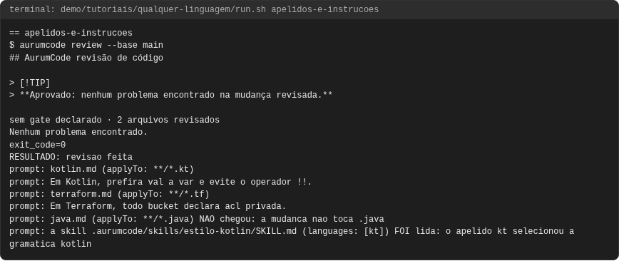 Terminal do caso apelidos-e-instrucoes
