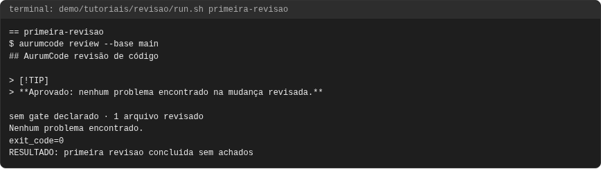 Terminal do caso primeira-revisao
