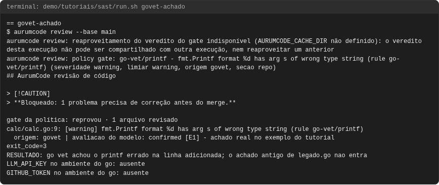 Terminal do caso govet-achado